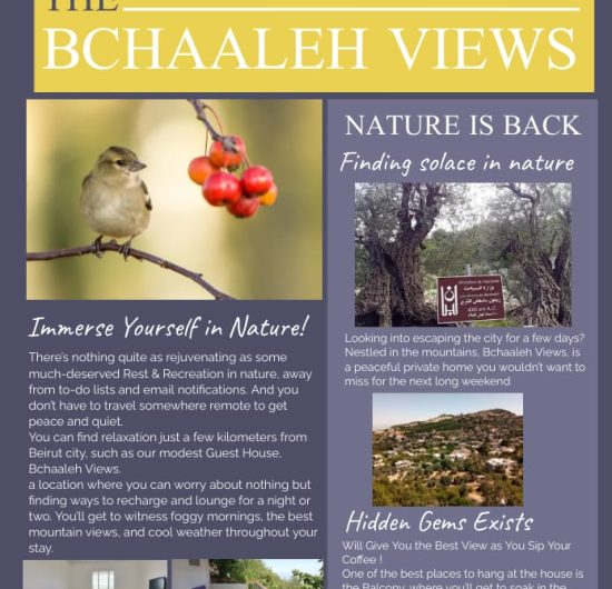 bchaaleh_bchaaleh-views-01