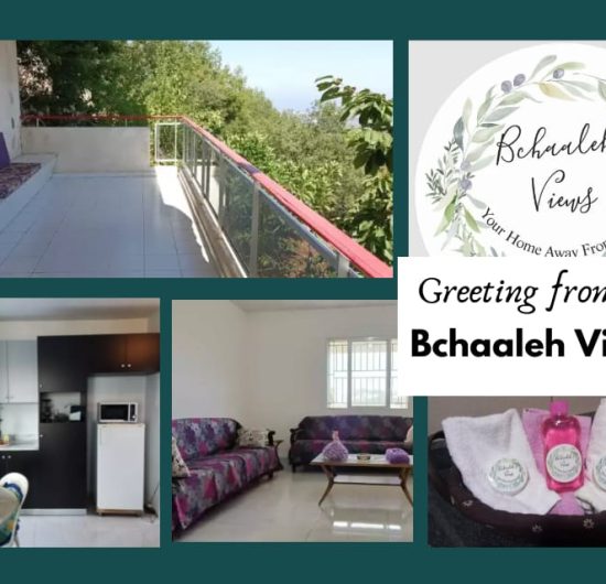 bchaaleh_bchaaleh-views-02