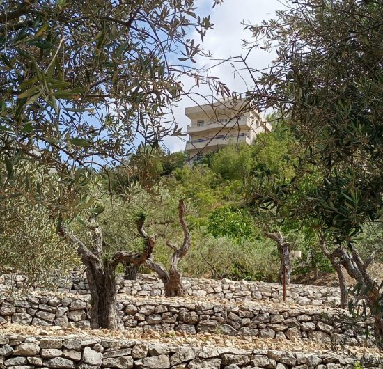 bchaaleh_bchaaleh-views-11