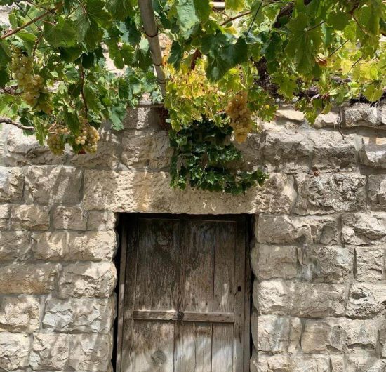 bchaaleh_beit-el-mokhtar-07