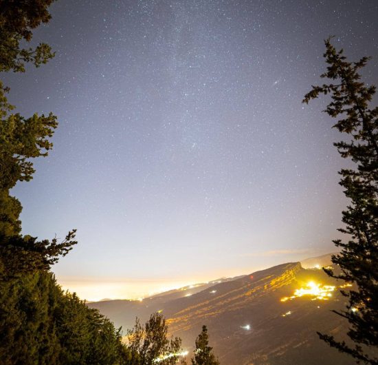 bchaaleh_cheer-up-01