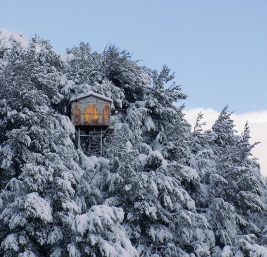 bchaaleh_cheer-up-02