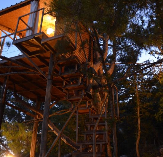 bchaaleh_cheer-up-04