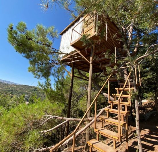 bchaaleh_cheer-up-05