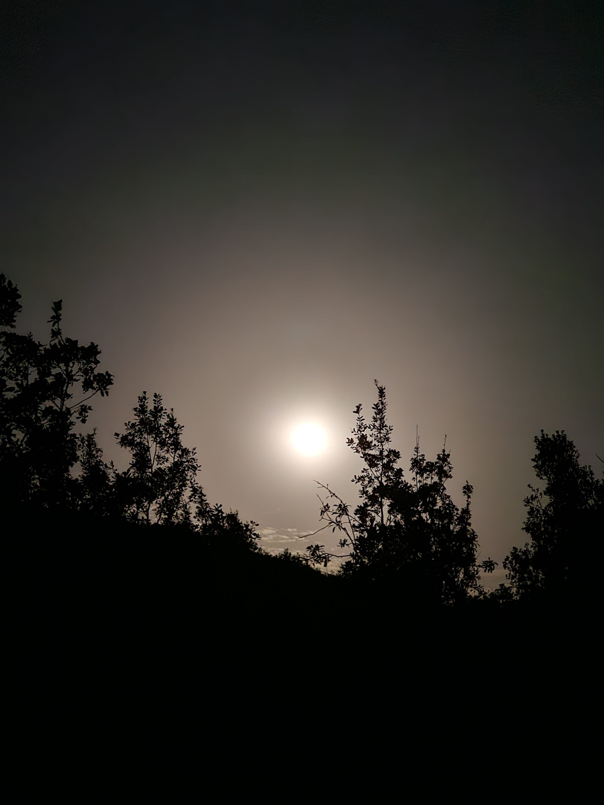 Full Moon and Hike With bonfire Experience at Bchaaleh Trails