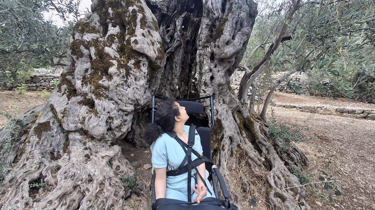 41c03583-5196-42b4-a162-608f4d5f9c06