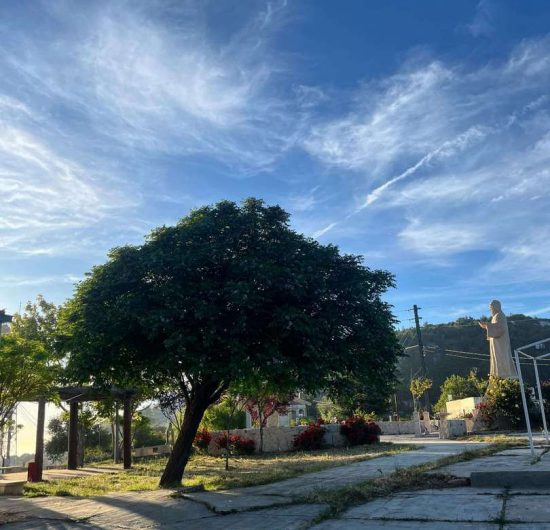 estirahit-mar-charbel-05